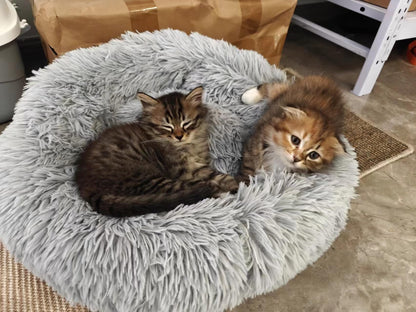 MiawP Calming Round Pet Bed 50cm – Cozy Plush Cuddler with Non-Slip Base (Light Grey)